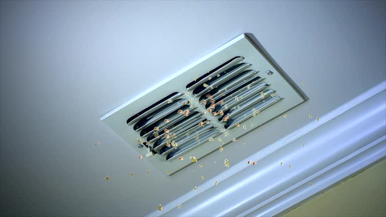 Best Affordable HVAC Duct Cleaning  in Lehi, UT
