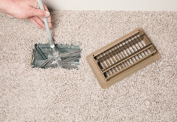 Best Air Duct Mold Removal  in Lehi, UT